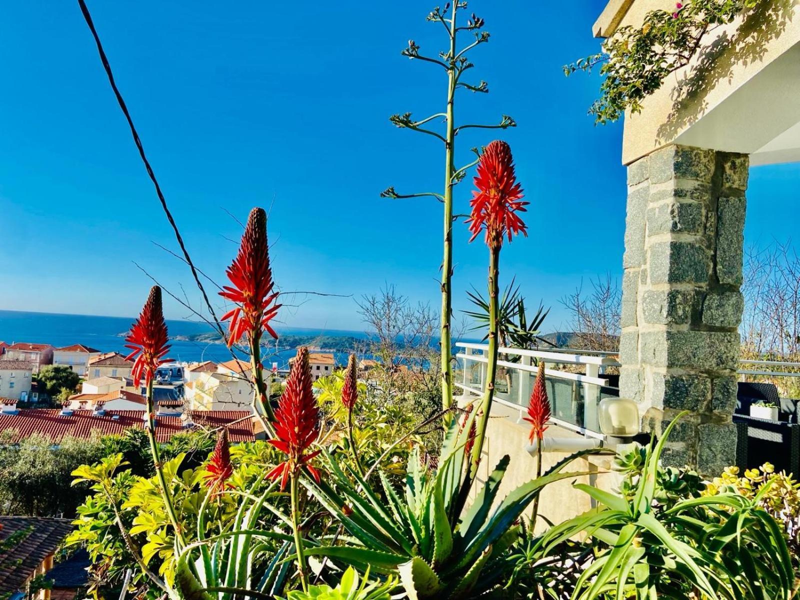 Villa Montalbo Vue De 2 A 10 Personnes *